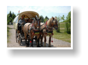 Kutschfahren am Rennsteig