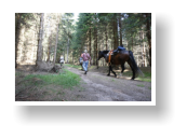 Erlebniswandern am Rennsteig